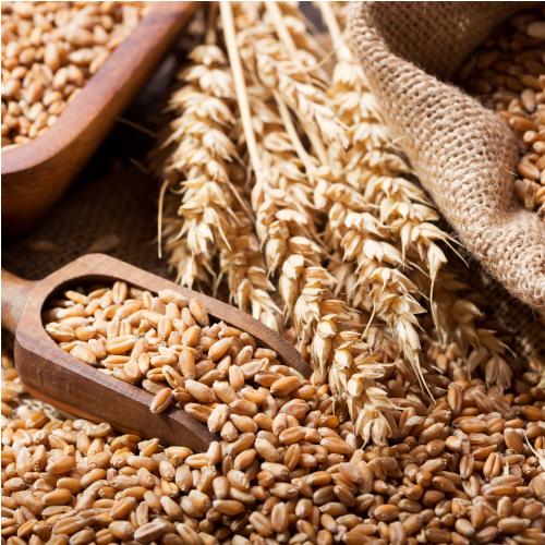 Kruska Grain Mix