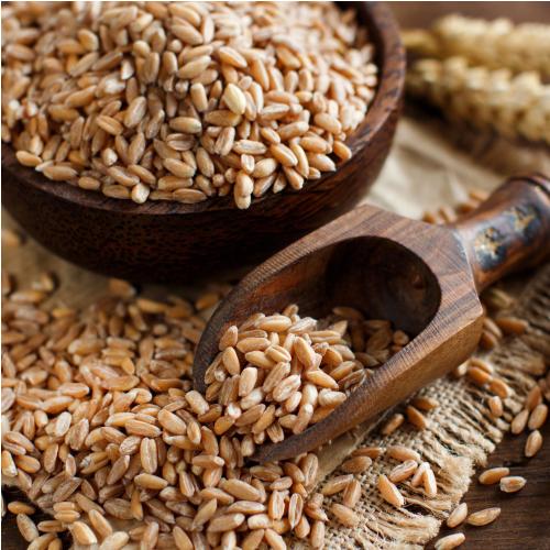 Whole Emmer Grain (Ancient Wild Spelt)